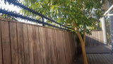 Star Security Spikes Starwall Spikes Rola Spikes